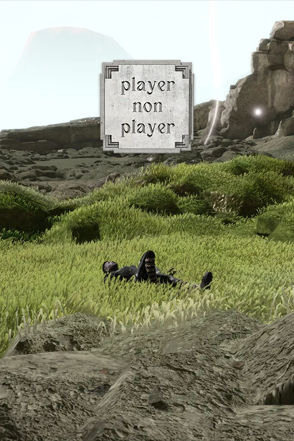 Player Non Player Cover Art