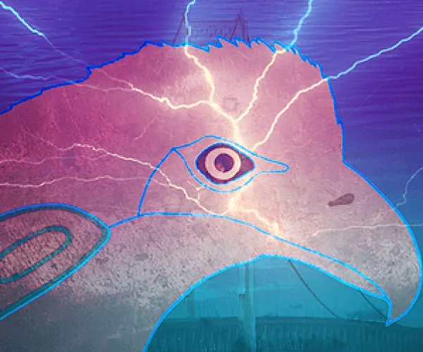 Indigenous Voices of Turtle Island 1